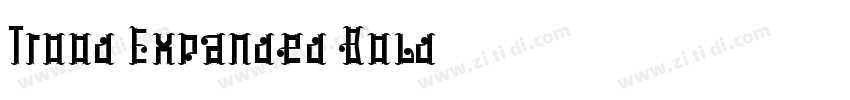 Trood Expanded Bold字体转换